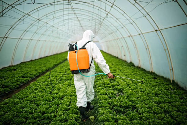 Best Residential Pest Control  in Pinehurst, TX