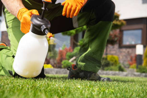 Best Best Pest Control Companies  in Pinehurst, TX