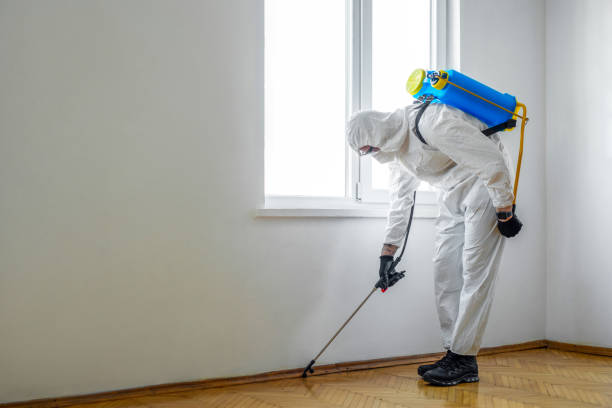 Trusted Pinehurst, TX Pest Control Experts