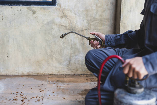 Best Pest Control Near Me  in Pinehurst, TX